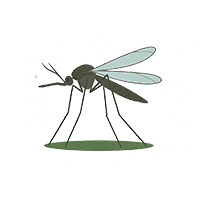 蠓虫